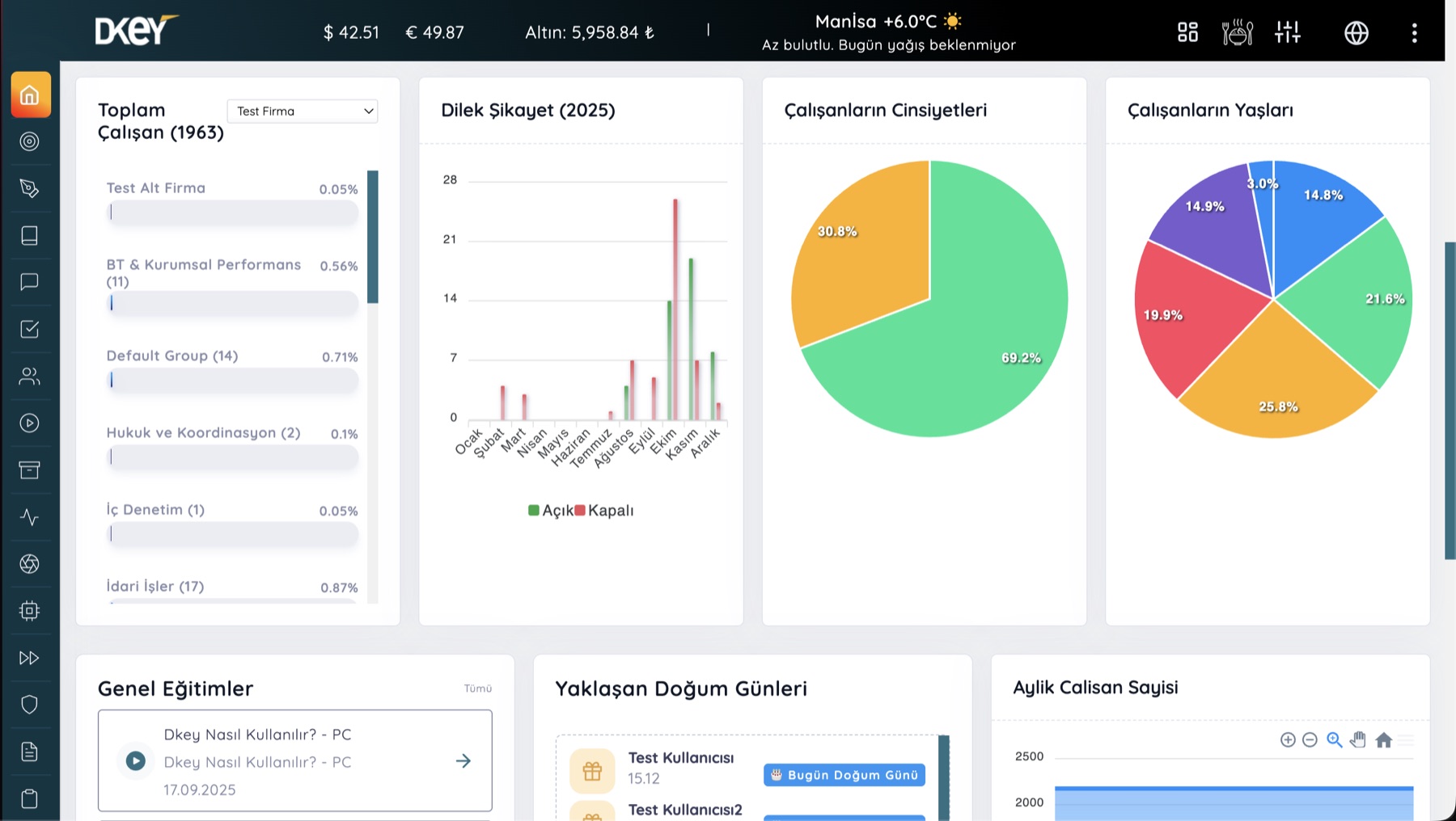 DijitalDev Web paneli